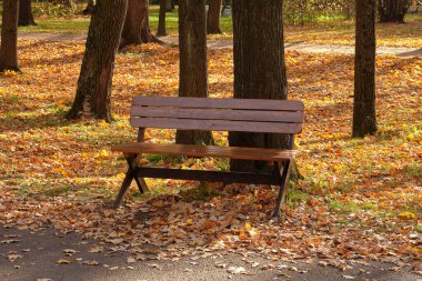 sonbahar Park boş bir tezgah