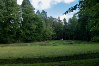 Çimenlikteki çimenlikteki nemi kaldırmak için bir çukur. Uzun ve derin bir siper şeklinde şiddetli yağmur için drenaj yapılır.