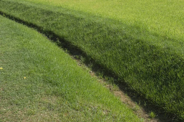 Grop För Att Avlägsna Fukt Från Gräsmattan Parken Gräsmattan Dränering — Stockfoto