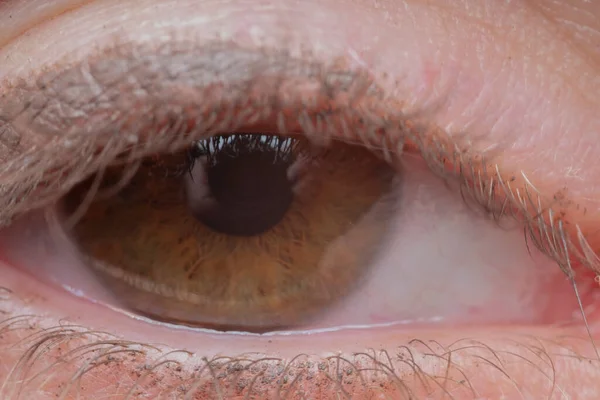 茶色の人間の目のクローズアップマクロ写真 — ストック写真