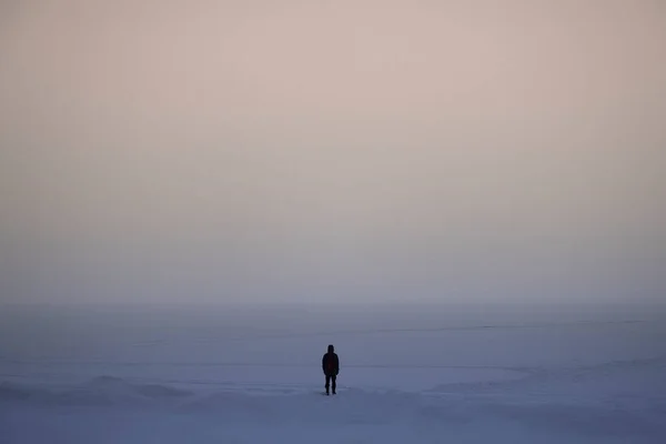Egy Magányos Ember Távolba Néz Hidegben Körülvéve Egy Jeges Sivataggal — Stock Fotó