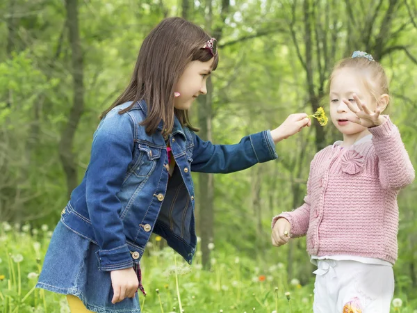 Two girls and dandelion — Stock Photo, Image