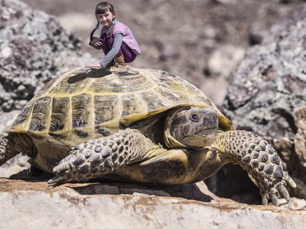 Chica viajera y tortuga — Foto de Stock