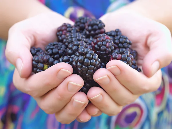 Black raspberries — Stock Photo, Image