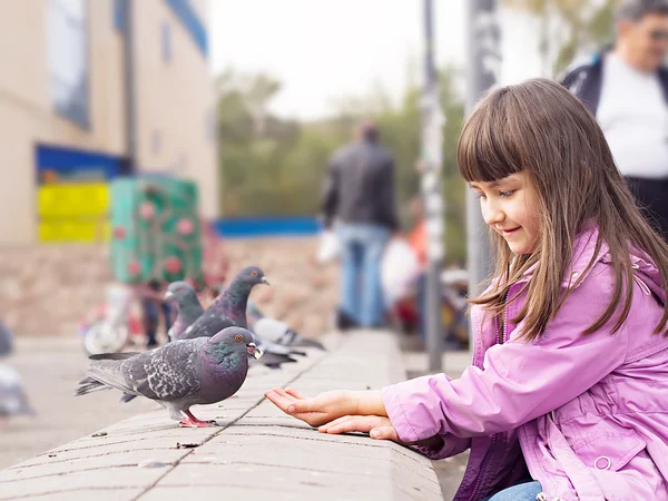 Small caucasian girl feeding pigeons — Stock Photo, Image