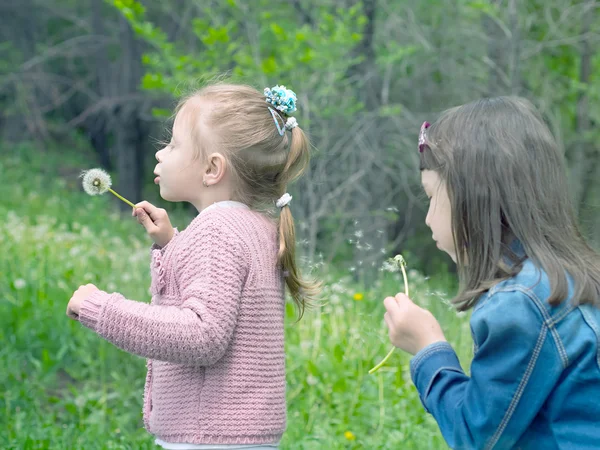 Girls blows on dandelion — Stock Photo, Image