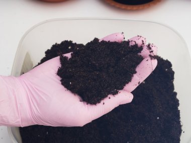 evde çiçek yetiştirmek