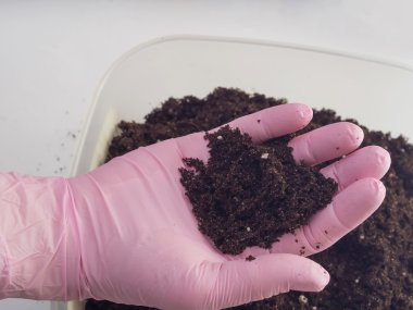 evde çiçek yetiştirmek