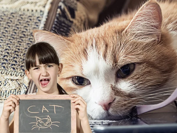 Sad cat and girl with chalkboard — Stock Photo, Image