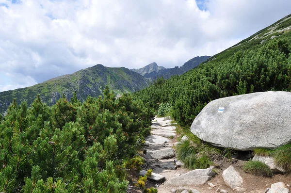 Trilha de caminhadas nas montanhas Imagem De Stock