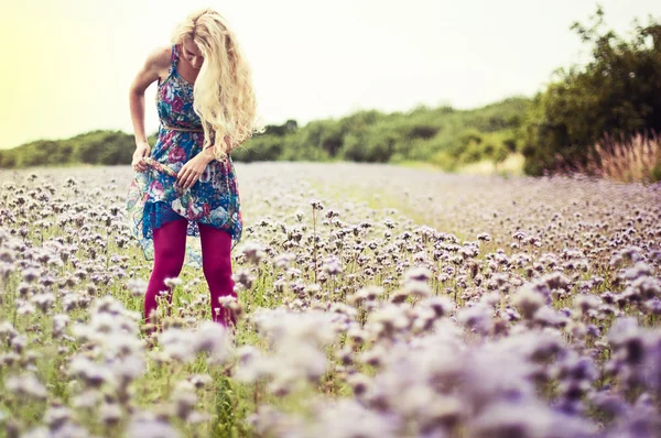 Menina com meias rosa no prado roxo — Fotografia de Stock