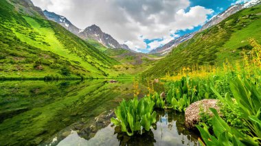 Nehirli güzel dağ manzarası
