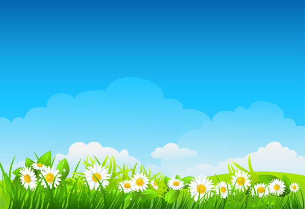 Summer background with flowers