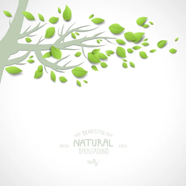 Hintergrund mit Zweigen und grünen Blättern — Stockvektor