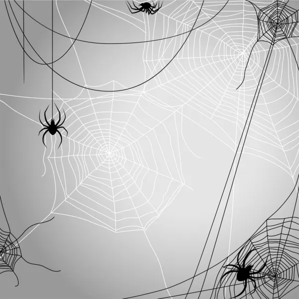 Achtergrond met spinnen — Stockvector