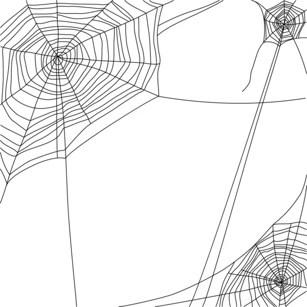 Spindelnät — Stock vektor