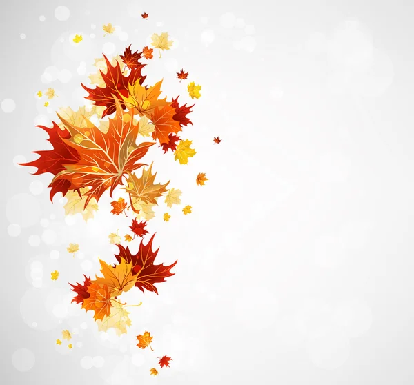 Background with autumn leaves — Stock Vector