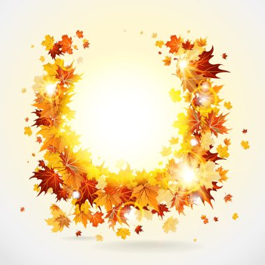 akçaağaç yaprakları