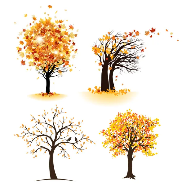 Set albero autunno — Vettoriale Stock