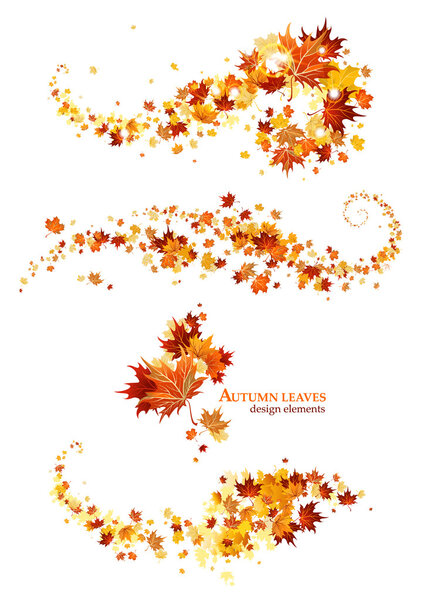 Autumn leaves design elements