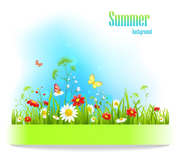 Verão fundo floral positivo — Vetor de Stock