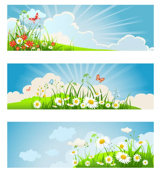 Sommar blommor banners — Stock vektor