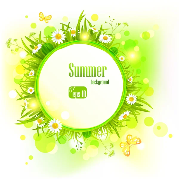 Summer light background with daisies — Stock Vector