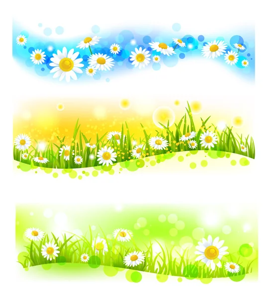 Drie heldere bloem banners — Stockvector