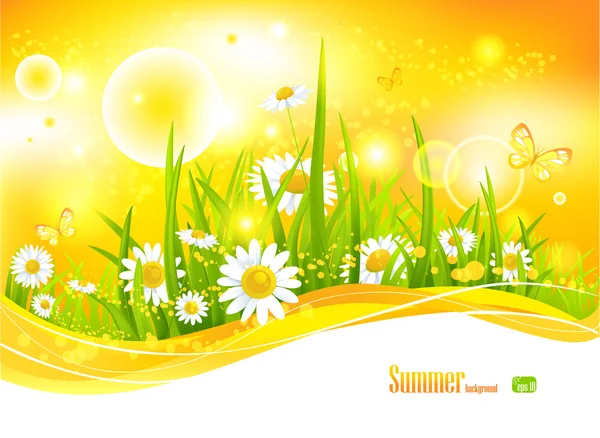 Sunny bright background — Stock Vector