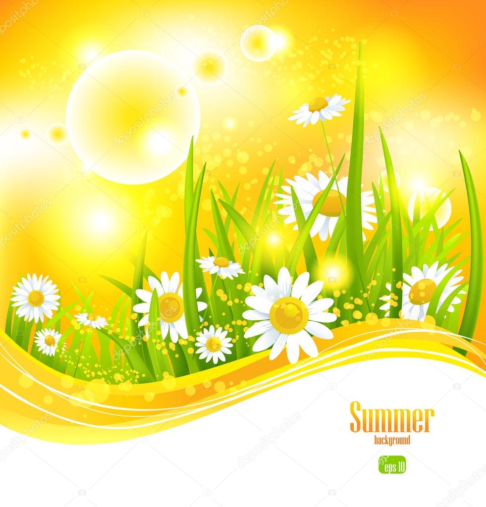 Sunny summer background