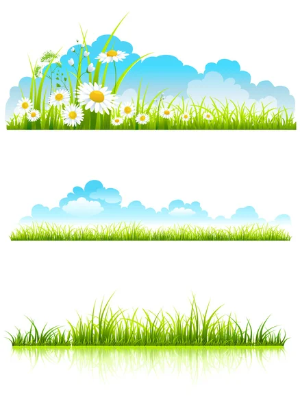 Collection of green grass — Stock Vector