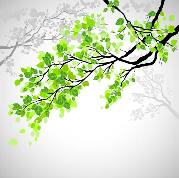 Branch with leaves — Stock Vector