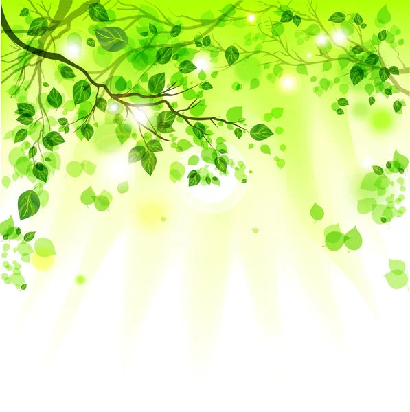 Bahar açık renkli yaprakları