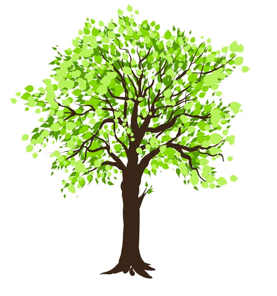 Tree — Stock Vector