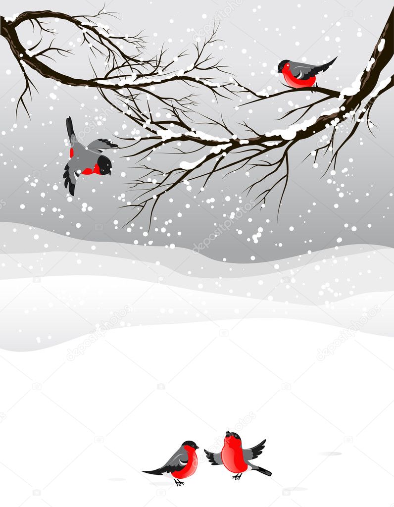 Winter background with birds bullfinch