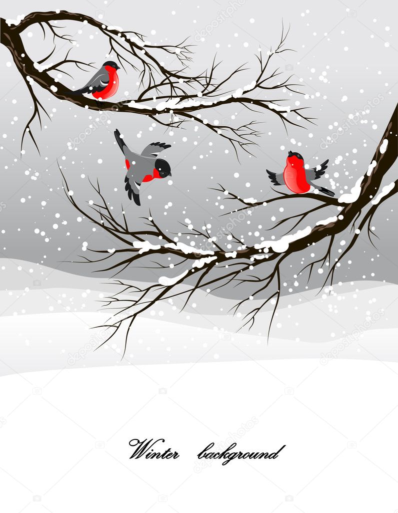 Winter background with bullfinch
