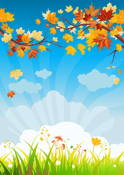 Autumn leaves and grass — Stock Vector