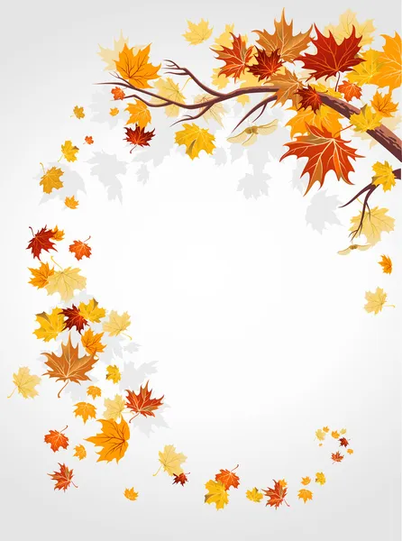 girdap sonbahar yaprakları