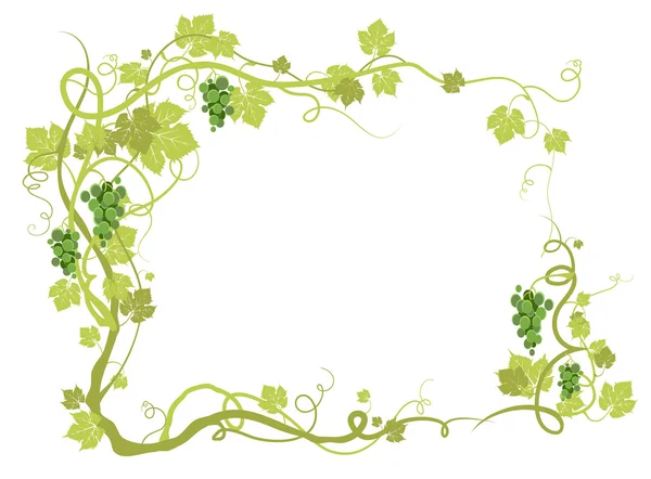 Groene wijngaard frame — Stockvector