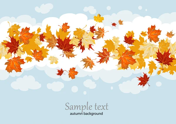 akçaağaç yaprakları