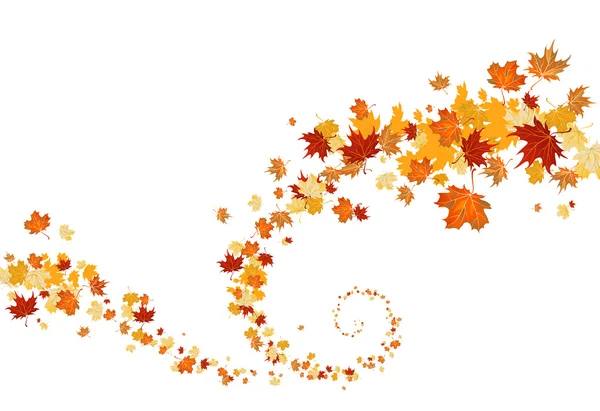 Swirl of leaves — Stock Vector