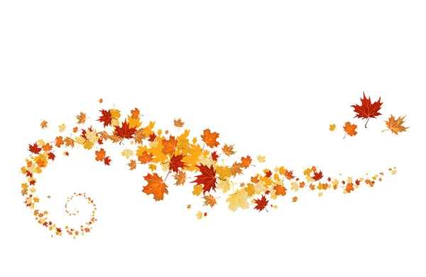 girdap akçaağaç yaprağı