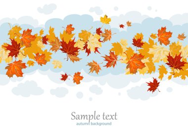 akçaağaç yaprakları