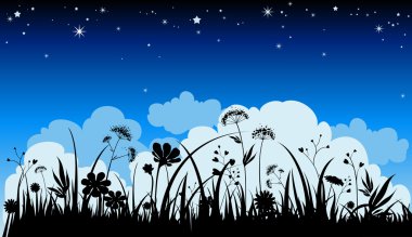 Summer night background