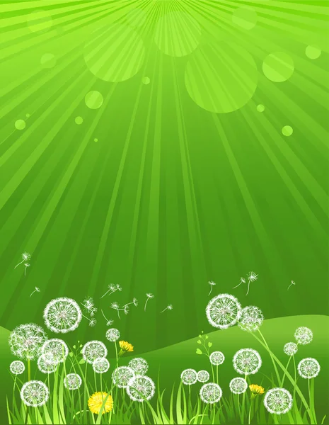 yeşil yaz arkaplanı