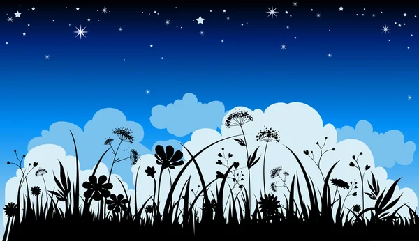 Summer night background Vector Graphics