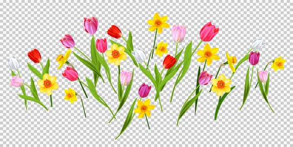 Explosion de tulipes fleuries Illustration De Stock