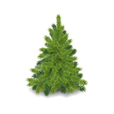 Gerçekçi Noel ağacı Yumuşak yeşil çam ağacı