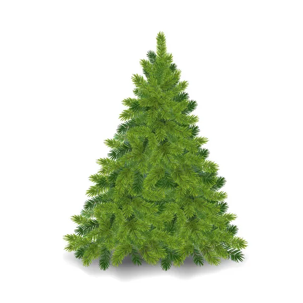 Arbre Noël Réaliste Pin Vert Moelleux — Image vectorielle