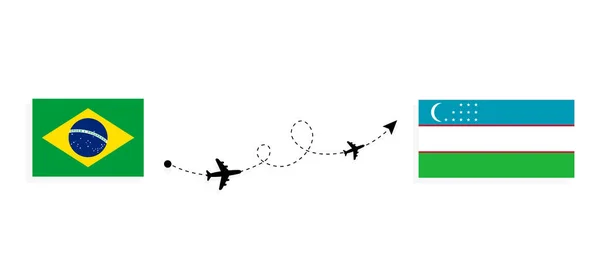 Yolcu Uçağı Konseptiyle Brezilya Dan Özbekistan Uçuş Seyahat — Stok Vektör
